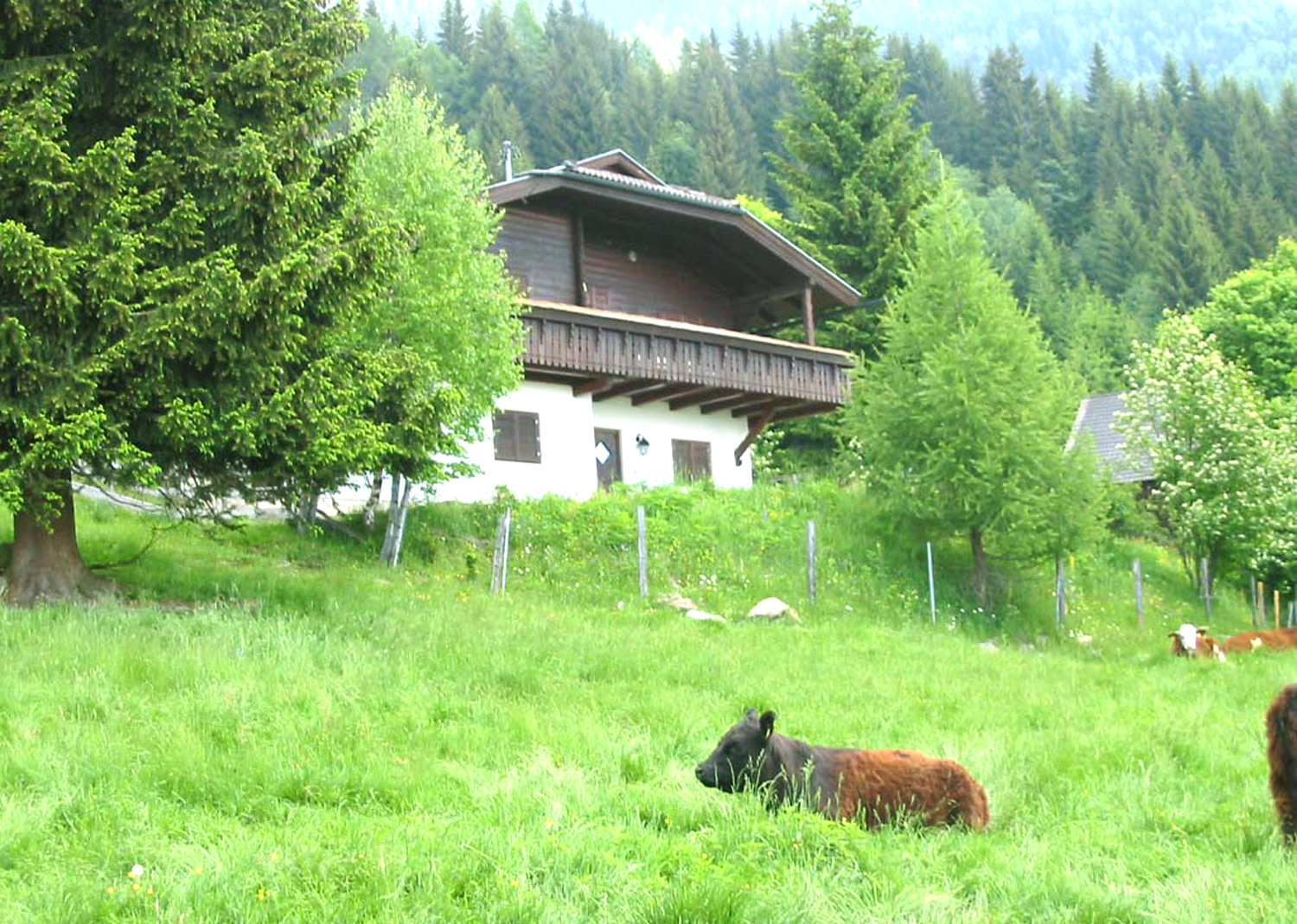 Wildhaber Hütte